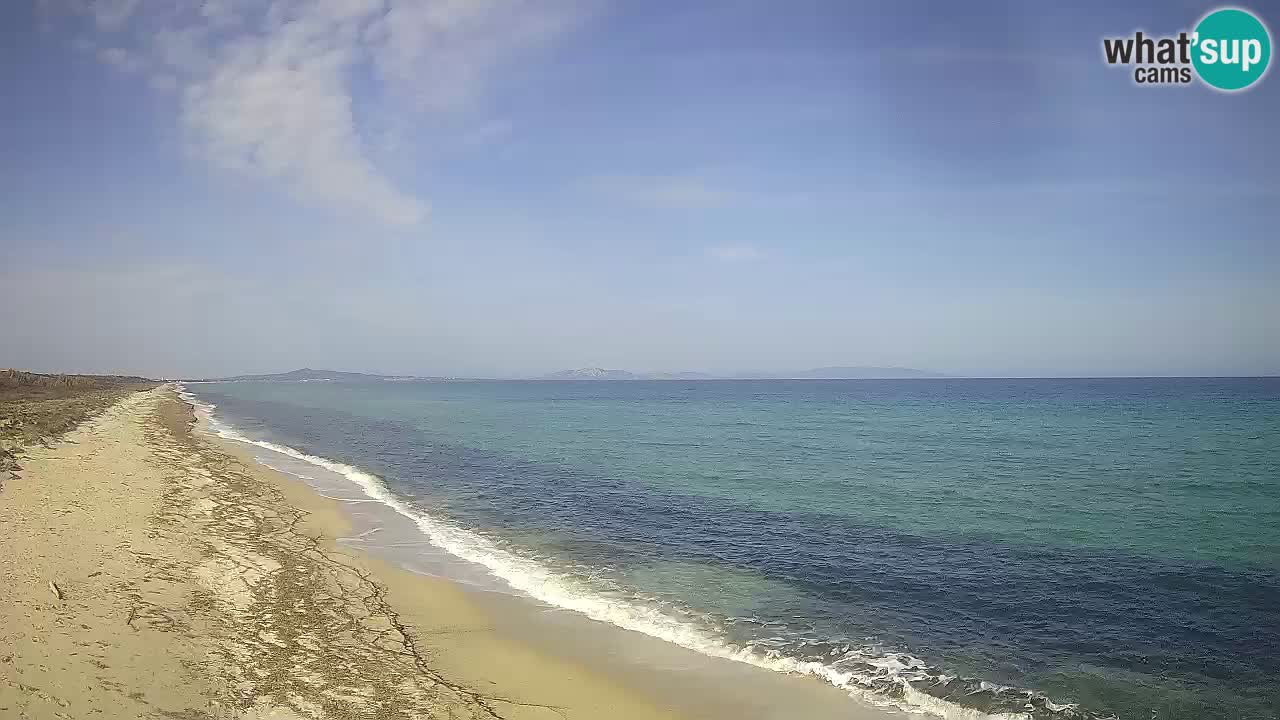 Beach Le Saline webcam live Stintino – Sardinia