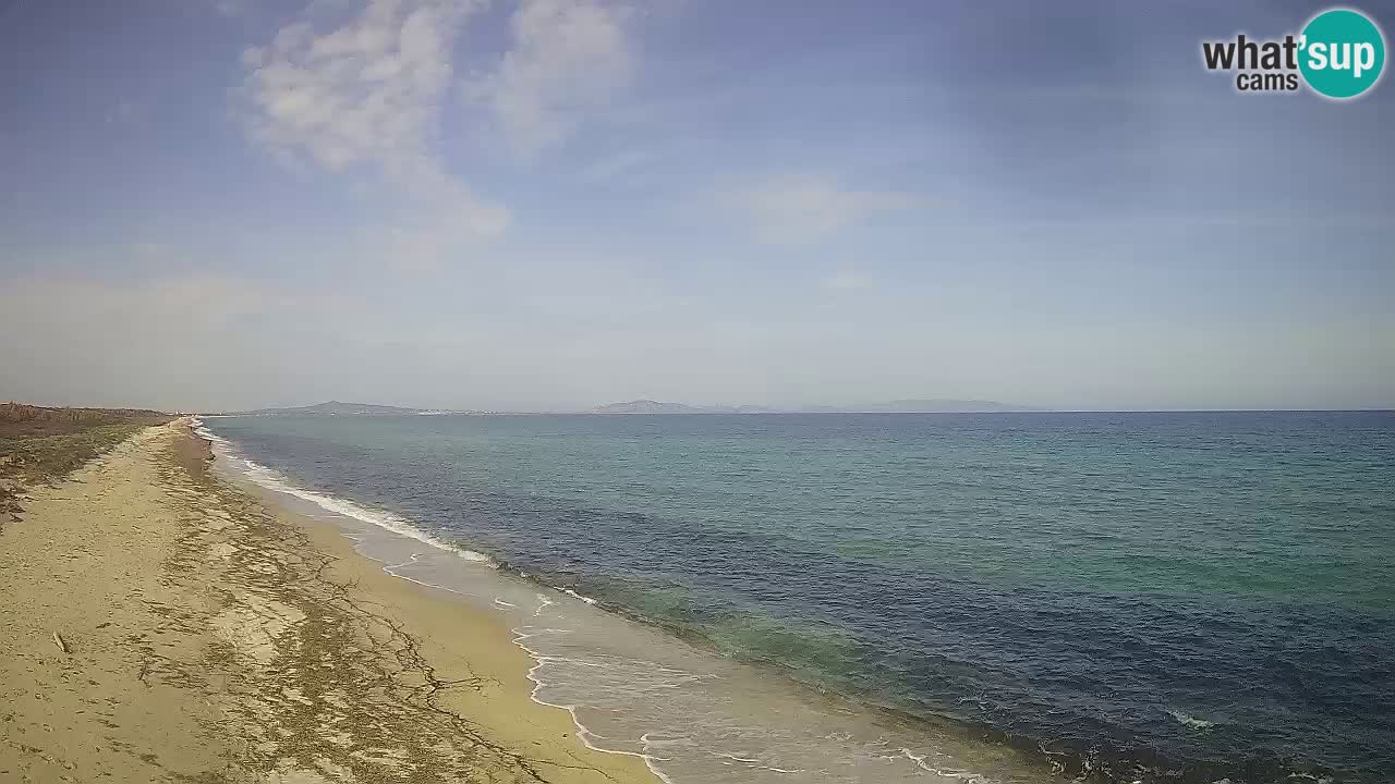 Beach Le Saline webcam live Stintino – Sardinia