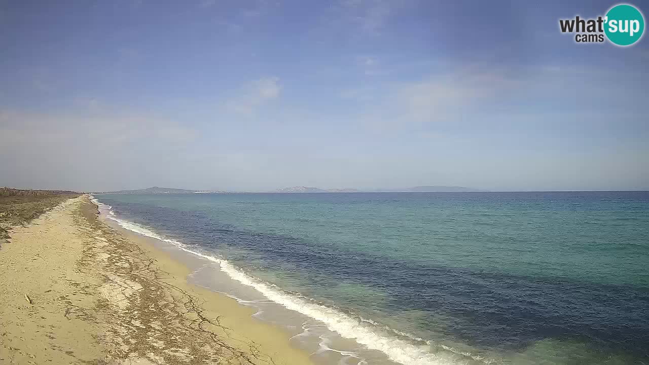 Spiaggia Le Saline webcam Stintino – Sardegna