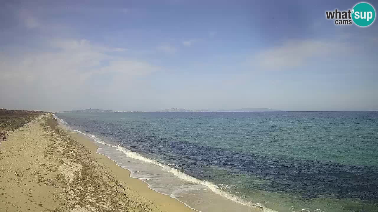 Beach Le Saline webcam live Stintino – Sardinia