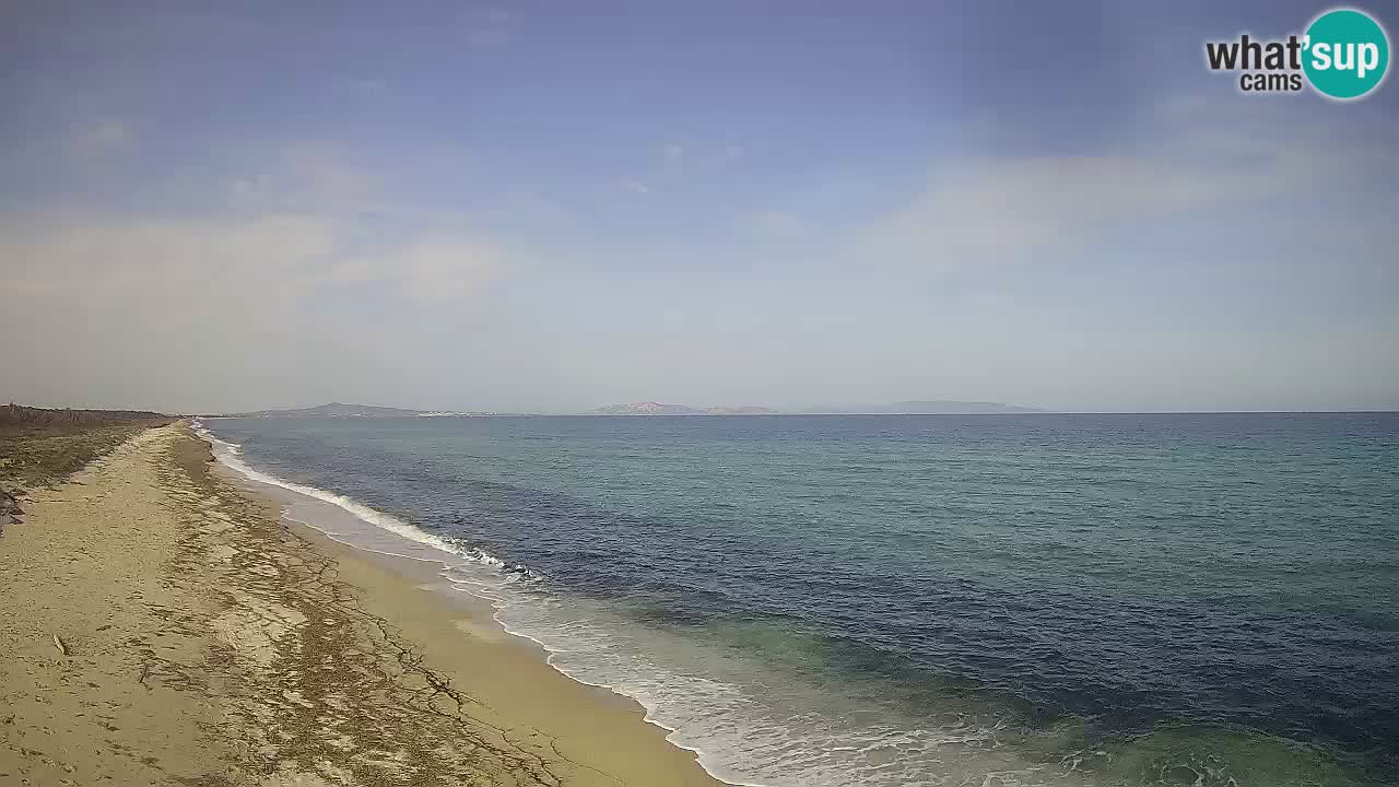 Plaža Le Saline spletna kamera Stintino – Sardinija