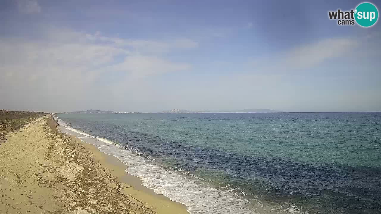 Plaža Le Saline web kamera Stintino – Sardinija