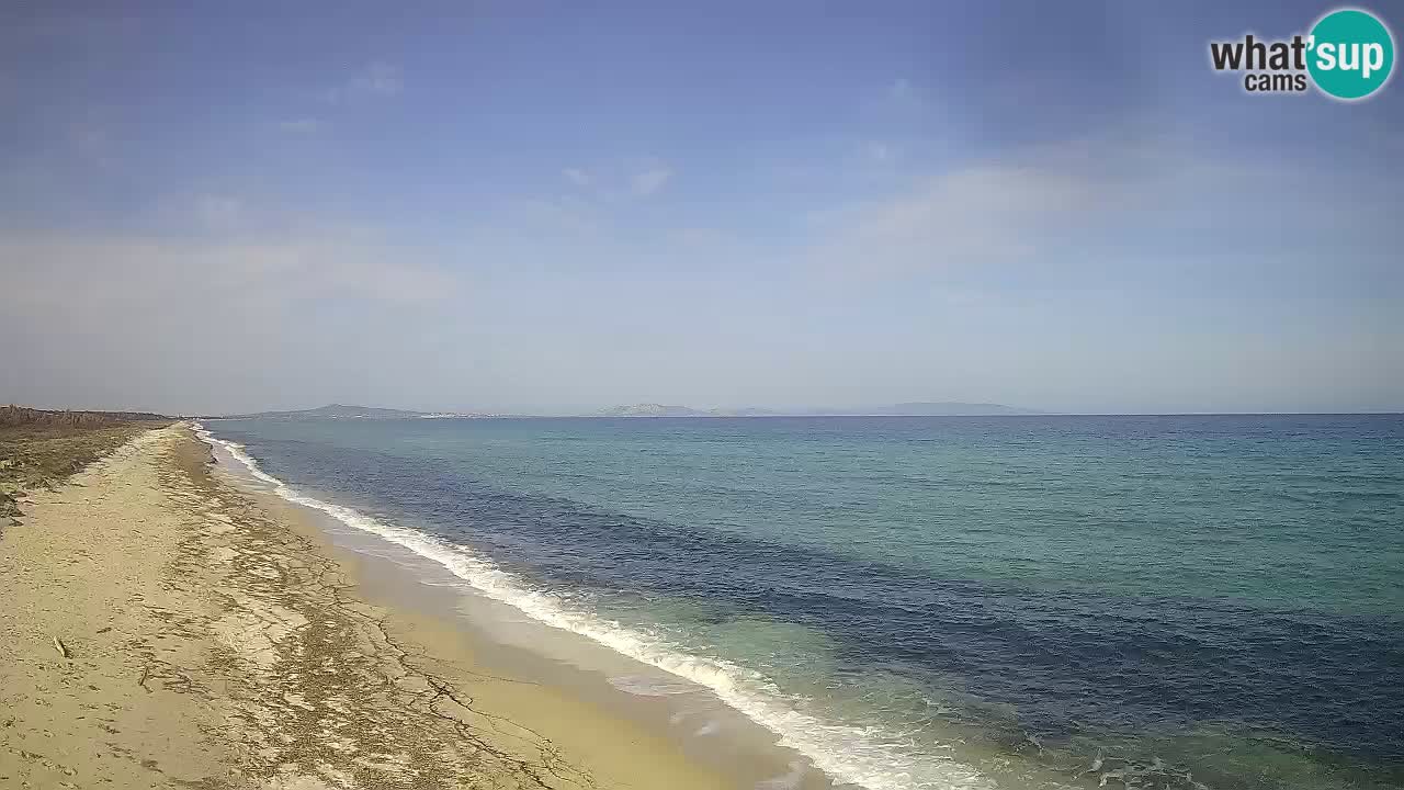 Strand Le Saline webcam Stintino – Sardinien