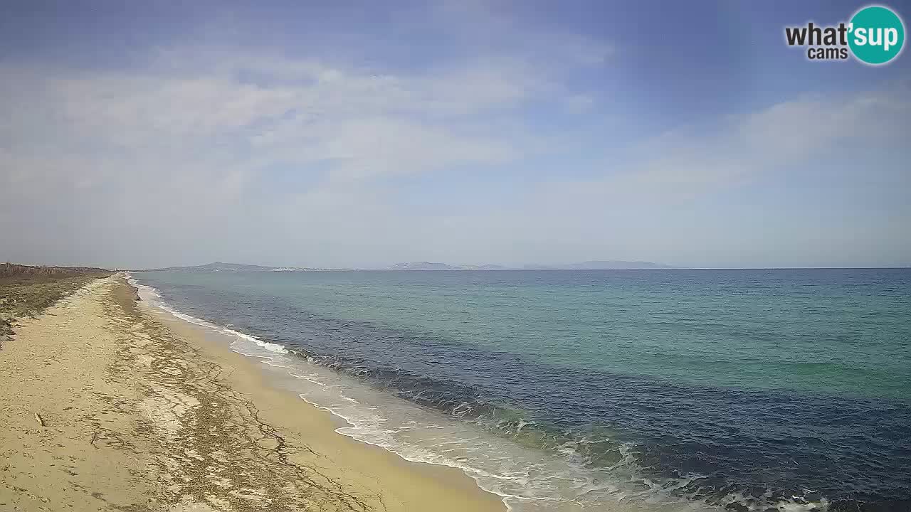 Spiaggia Le Saline webcam Stintino – Sardegna