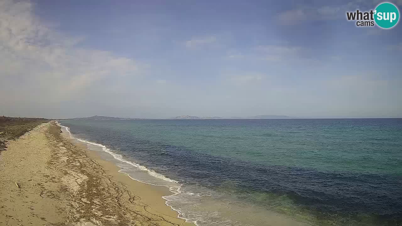 Beach Le Saline webcam live Stintino – Sardinia