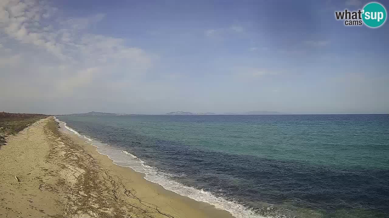 Plage Le Saline Live cam Stintino – Sardaigne