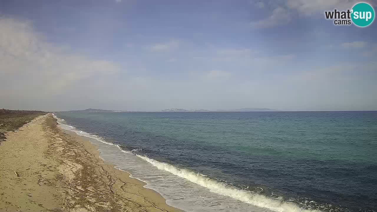 Plaža Le Saline spletna kamera Stintino – Sardinija