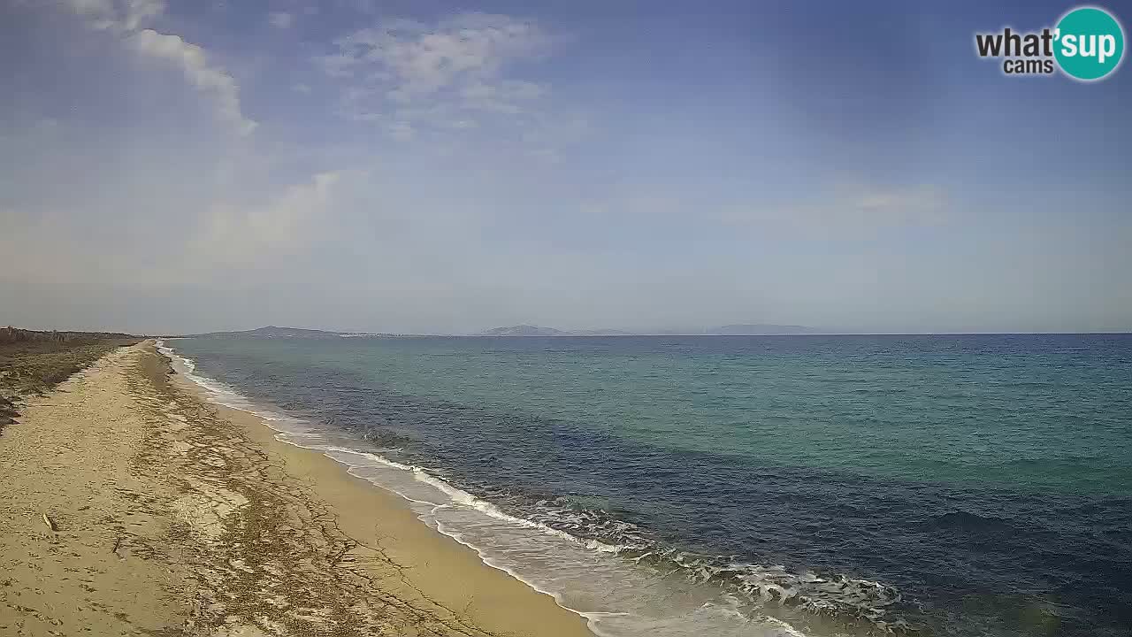 Beach Le Saline webcam live Stintino – Sardinia