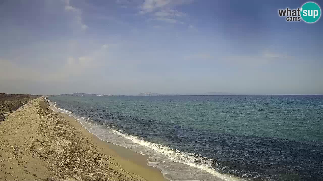 Beach Le Saline webcam live Stintino – Sardinia