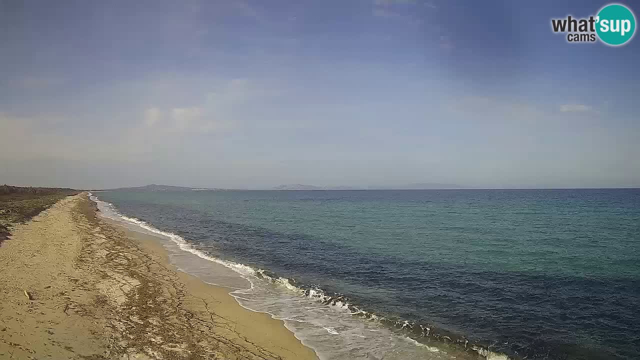 Spiaggia Le Saline webcam Stintino – Sardegna