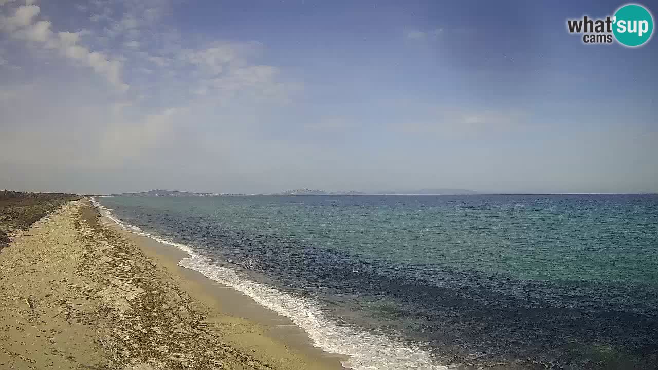 Plaža Le Saline web kamera Stintino – Sardinija