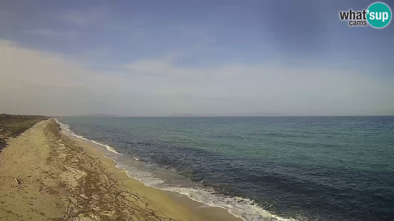 Plaža Le Saline spletna kamera Stintino – Sardinija