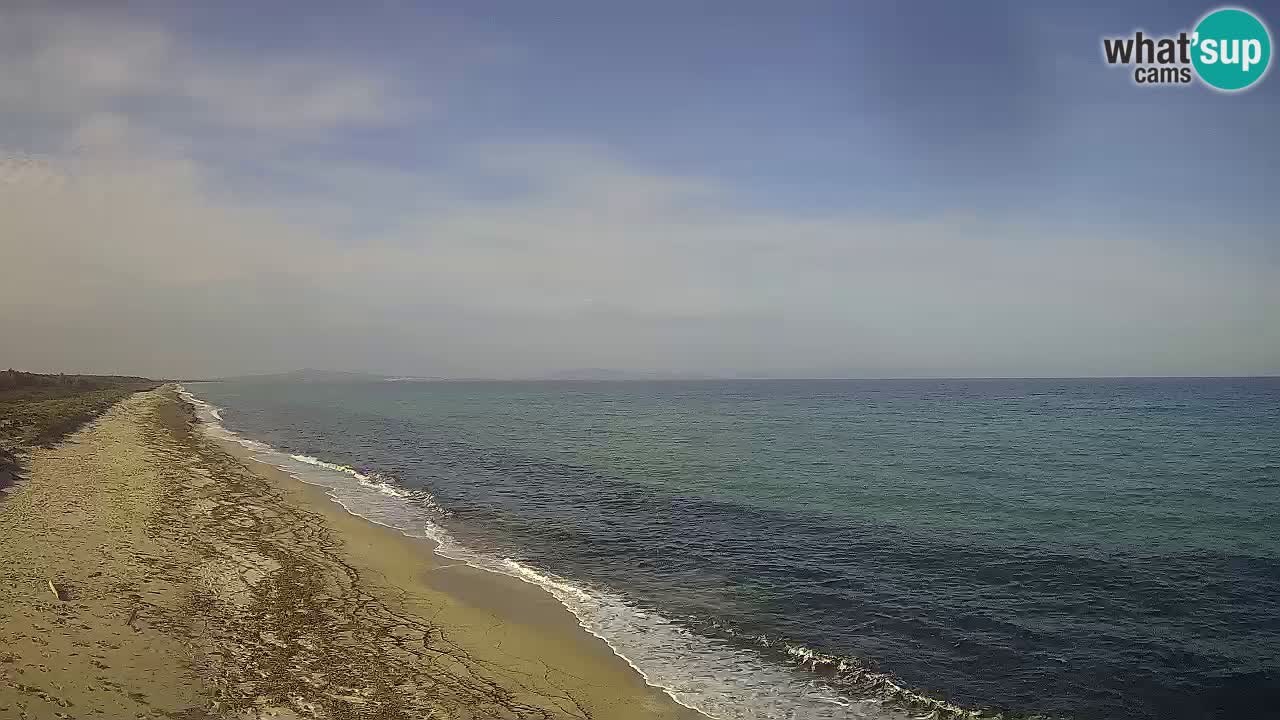 Plaža Le Saline spletna kamera Stintino – Sardinija