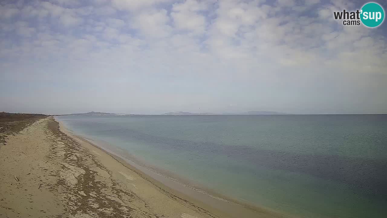 Plaža Le Saline spletna kamera Stintino – Sardinija