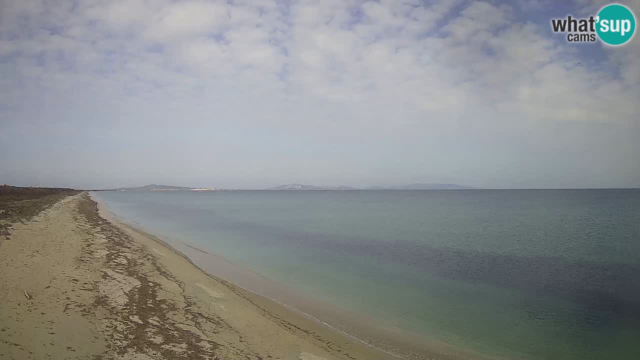 Plaža Le Saline spletna kamera Stintino – Sardinija