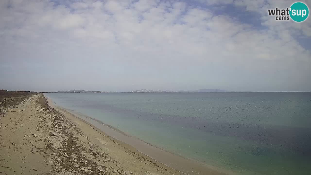 Beach Le Saline webcam live Stintino – Sardinia