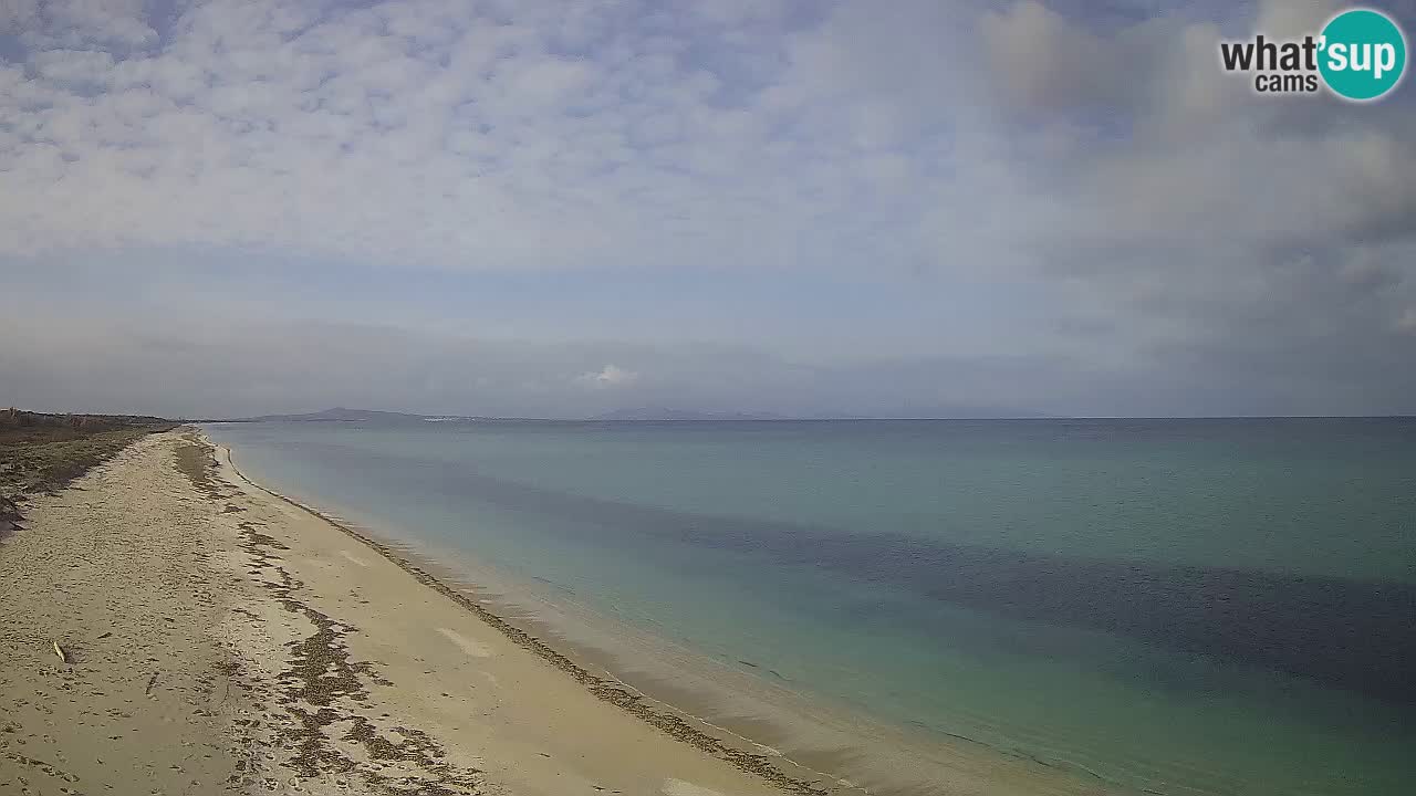 Plaža Le Saline web kamera Stintino – Sardinija