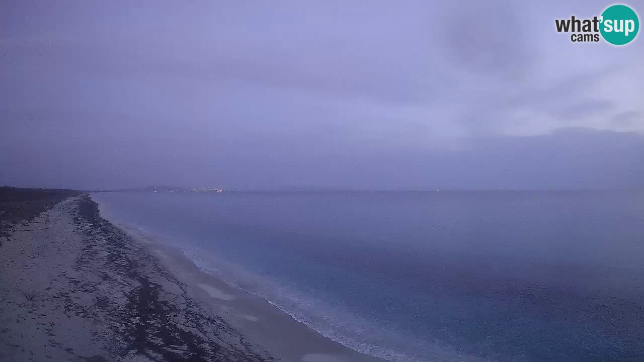 Beach Le Saline webcam live Stintino – Sardinia