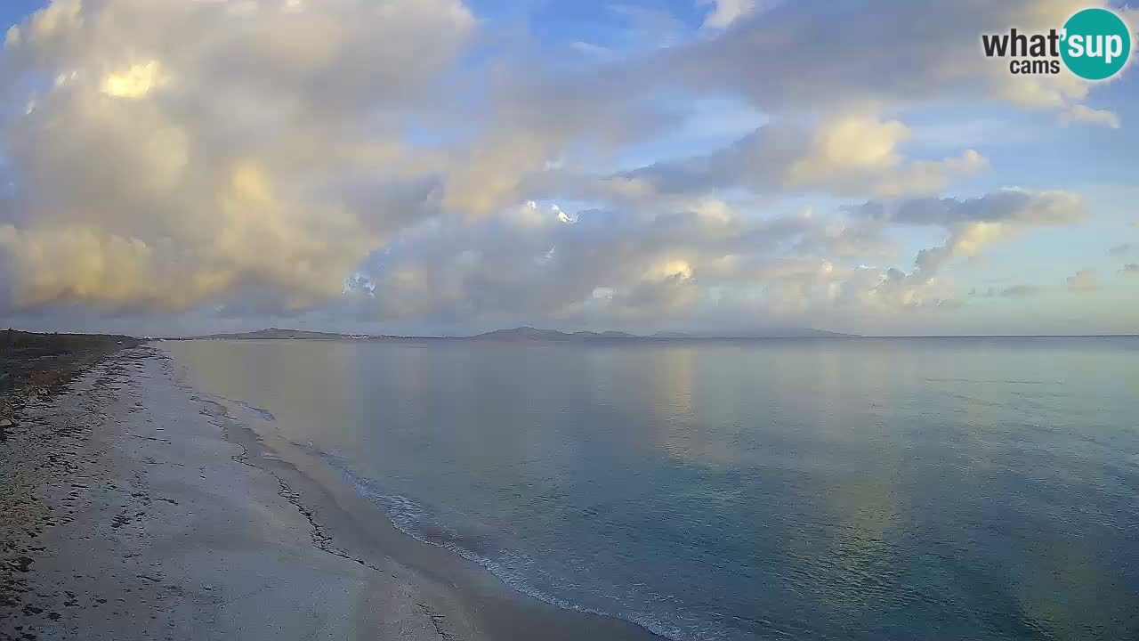 Playa Le Saline camera en vivo Stintino – Cerdeña