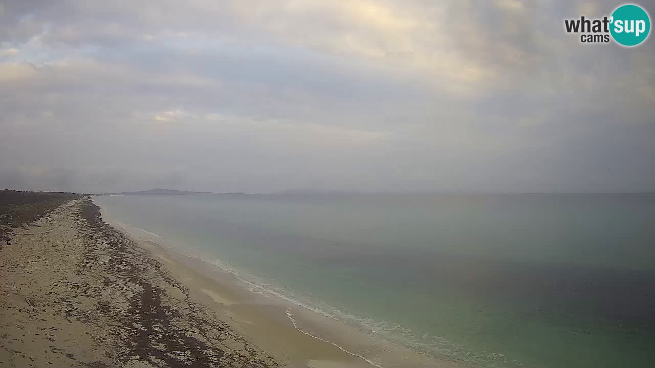 Plaža Le Saline web kamera Stintino – Sardinija