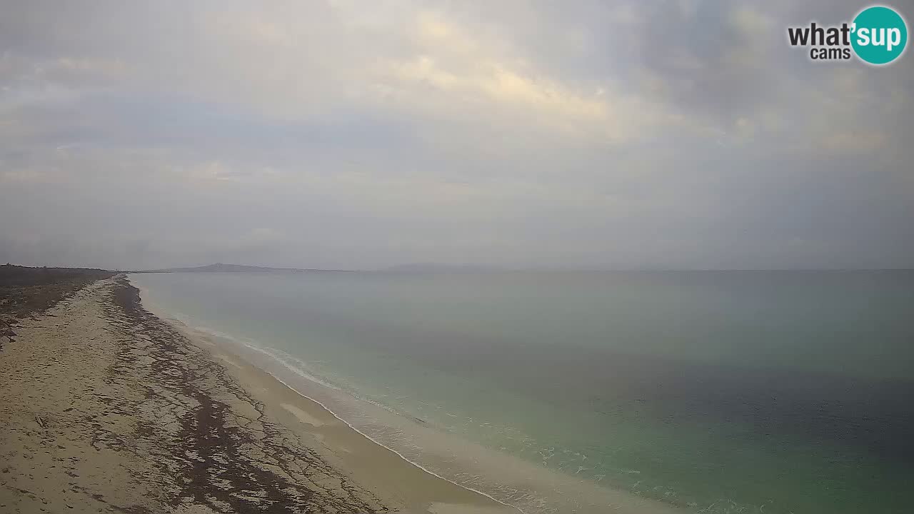 Plaža Le Saline web kamera Stintino – Sardinija