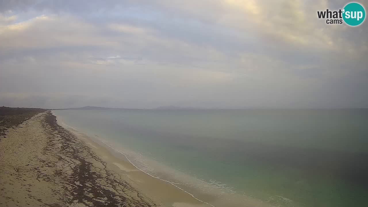 Plaža Le Saline spletna kamera Stintino – Sardinija