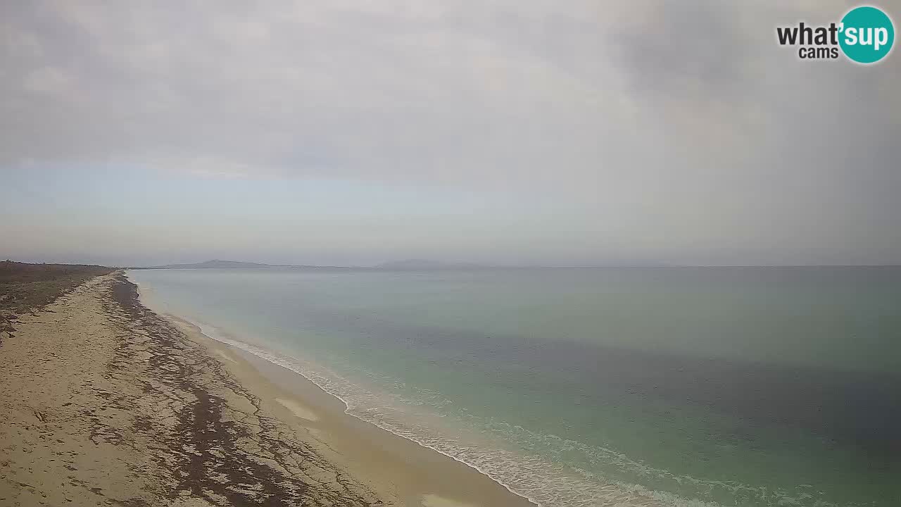 Plaža Le Saline web kamera Stintino – Sardinija