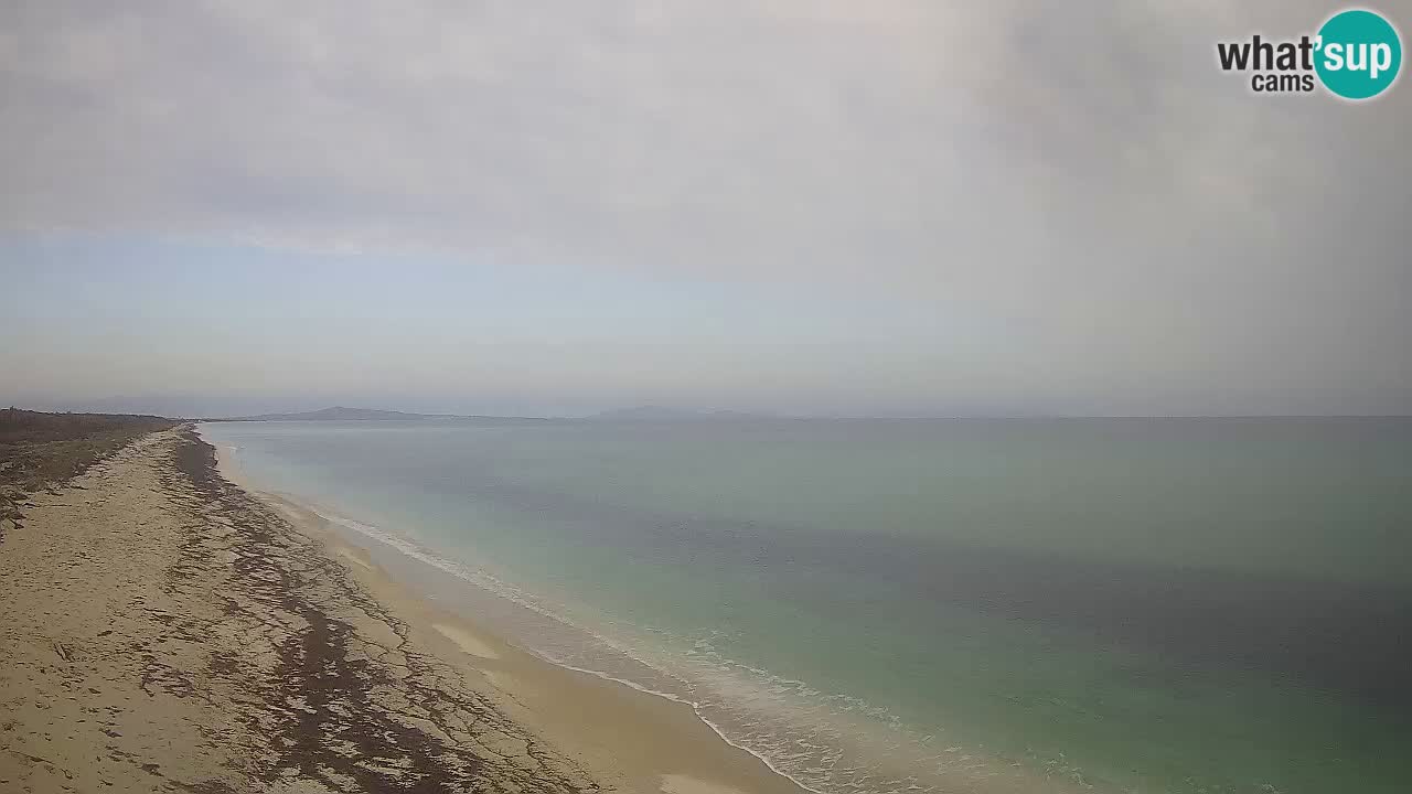 Plaža Le Saline web kamera Stintino – Sardinija