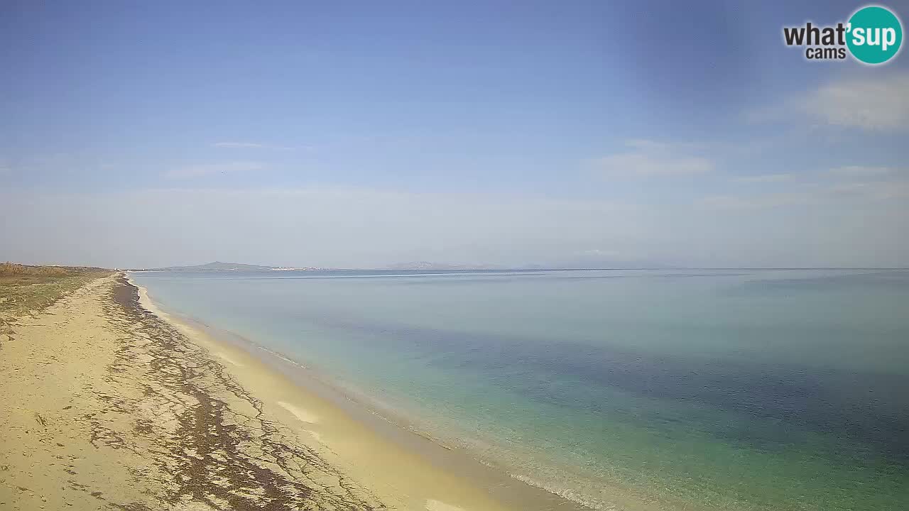 Beach Le Saline webcam live Stintino – Sardinia