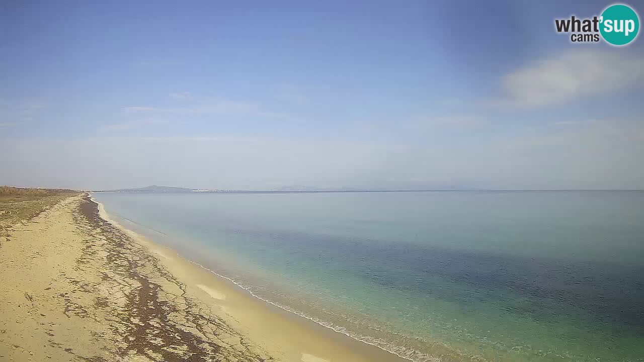 Strand Le Saline webcam Stintino – Sardinien