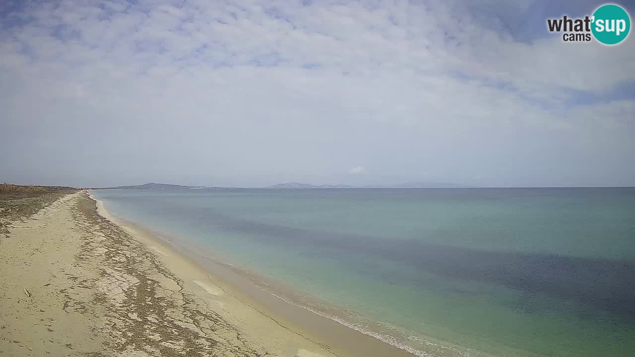 Playa Le Saline camera en vivo Stintino – Cerdeña