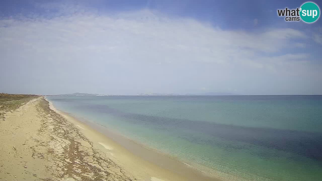 Plaža Le Saline spletna kamera Stintino – Sardinija