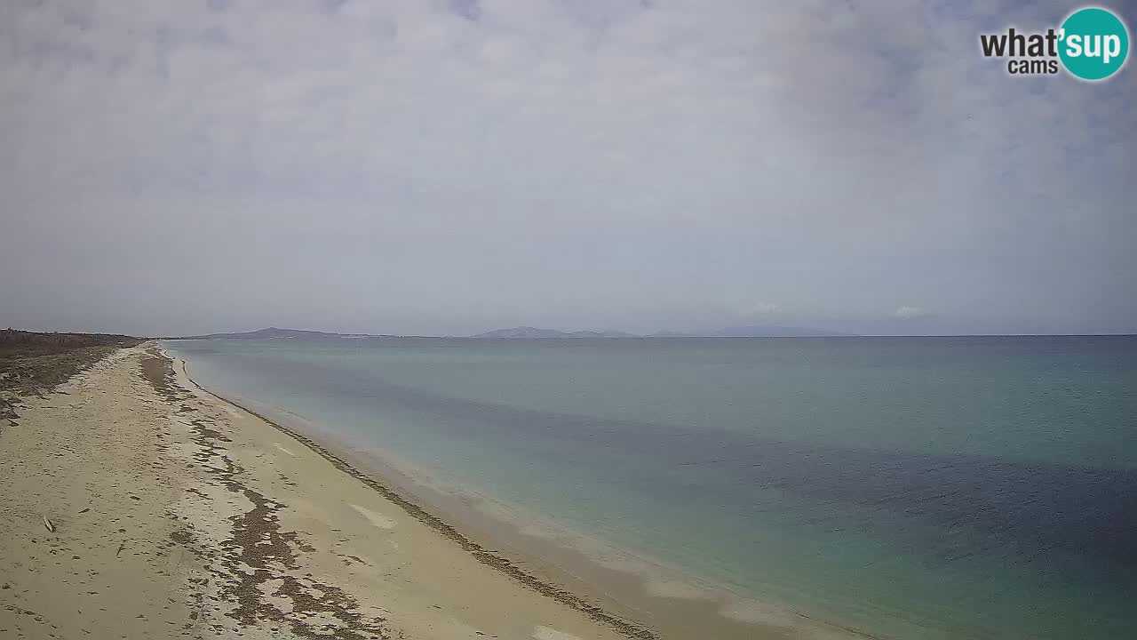 Beach Le Saline webcam live Stintino – Sardinia