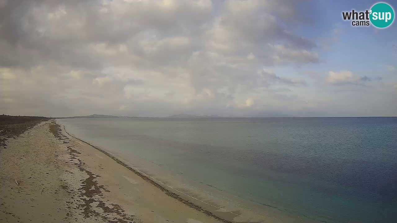 Plaža Le Saline web kamera Stintino – Sardinija