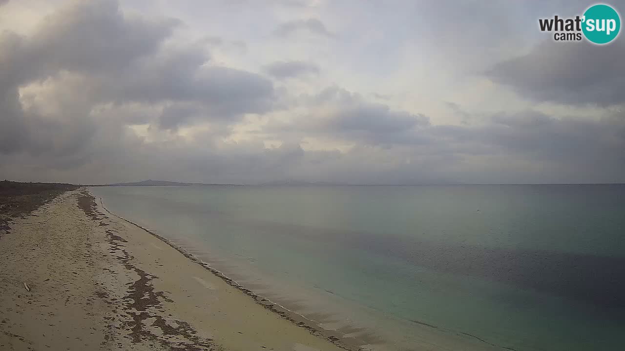 Plaža Le Saline web kamera Stintino – Sardinija