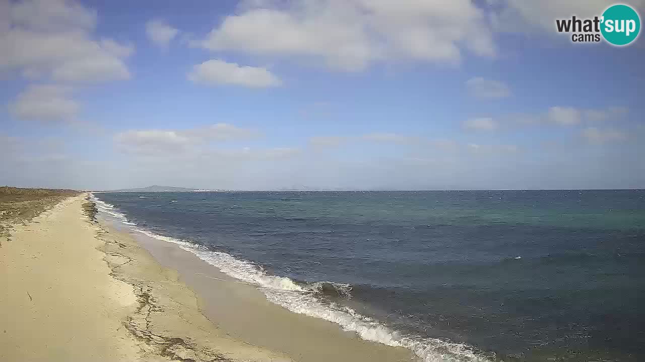 Plaža Le Saline spletna kamera Stintino – Sardinija