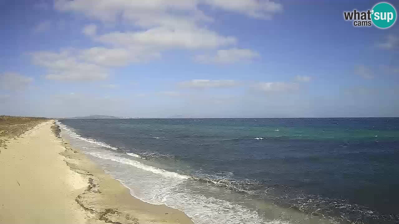 Beach Le Saline webcam live Stintino – Sardinia