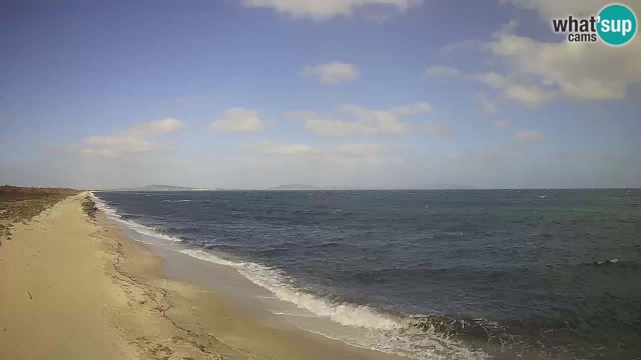 Playa Le Saline camera en vivo Stintino – Cerdeña