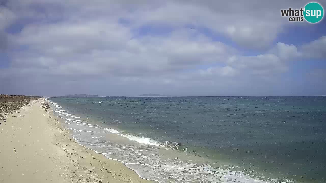 Plaža Le Saline web kamera Stintino – Sardinija