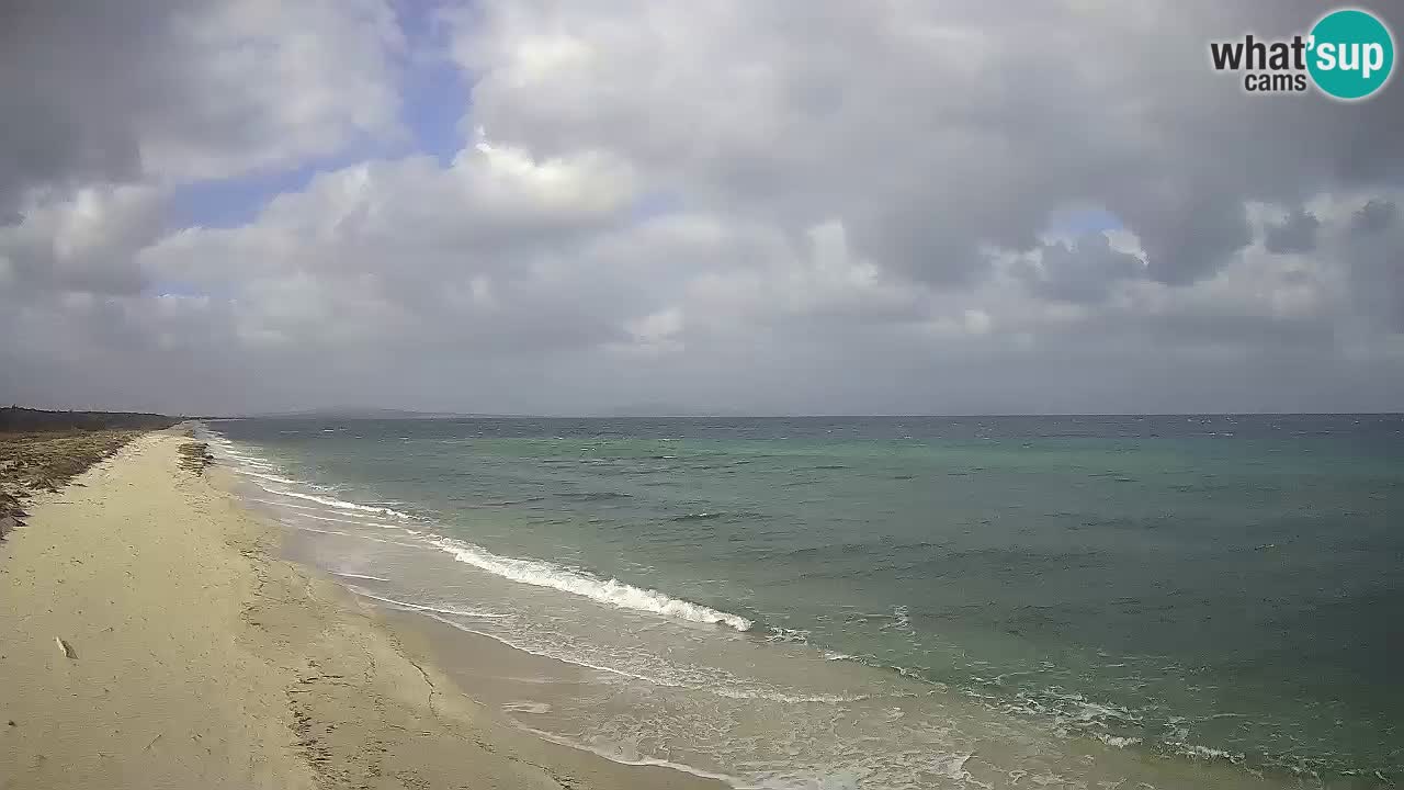 Playa Le Saline camera en vivo Stintino – Cerdeña