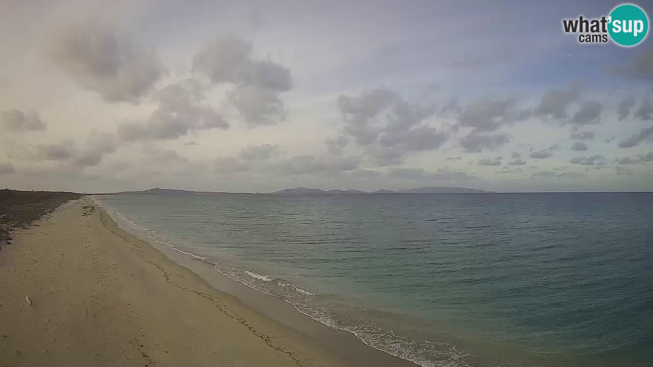 Beach Le Saline webcam live Stintino – Sardinia