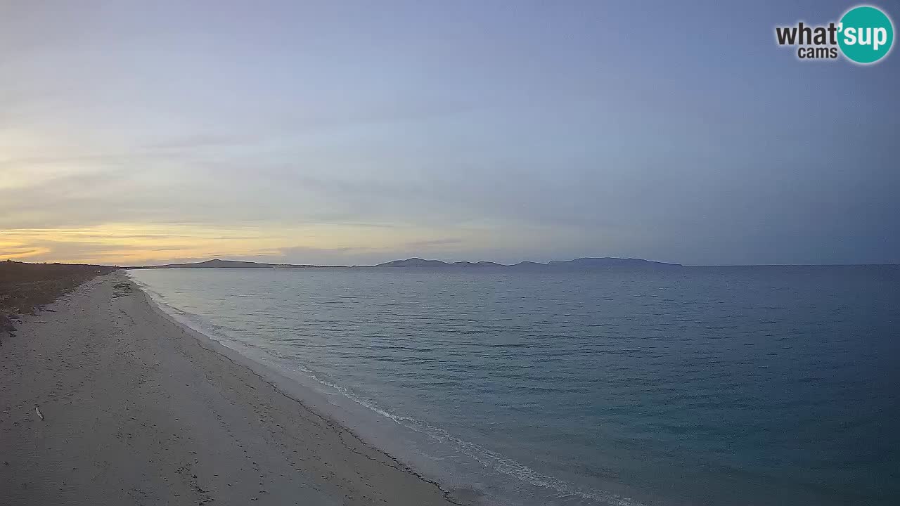 Plaža Le Saline web kamera Stintino – Sardinija