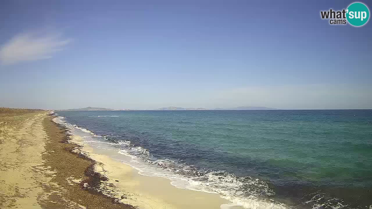 Playa Le Saline camera en vivo Stintino – Cerdeña