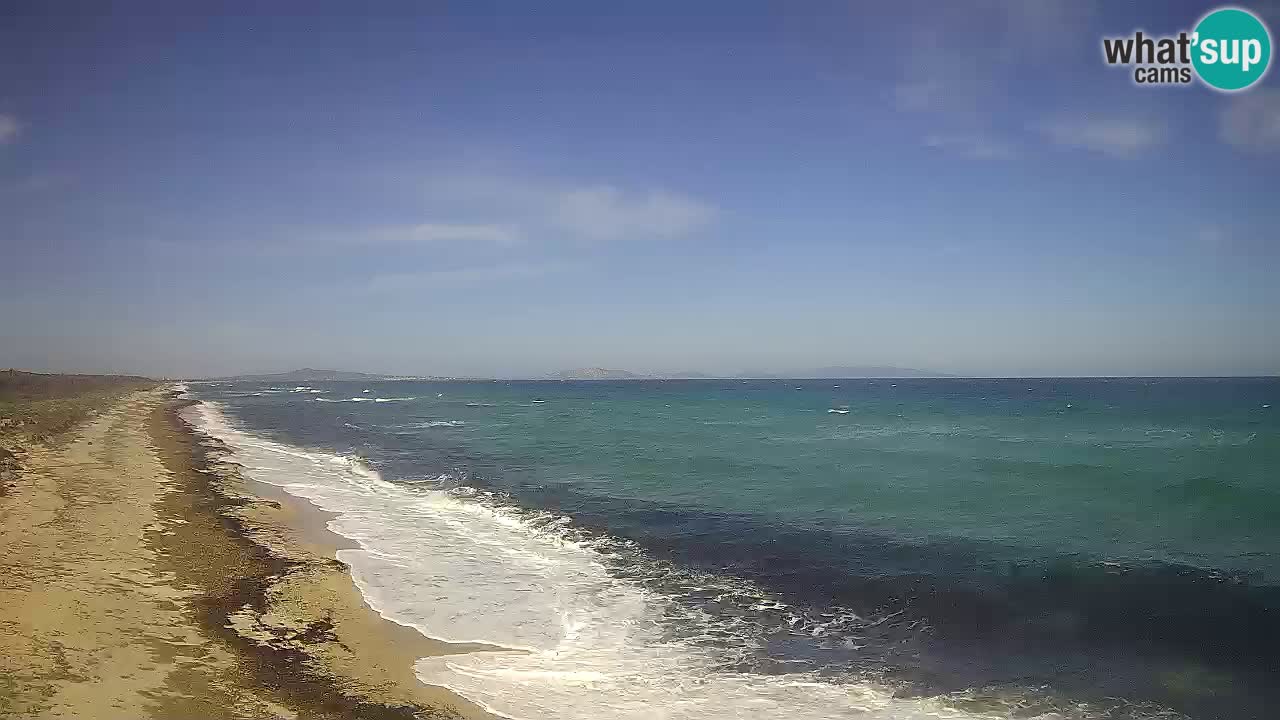 Strand Le Saline webcam Stintino – Sardinien