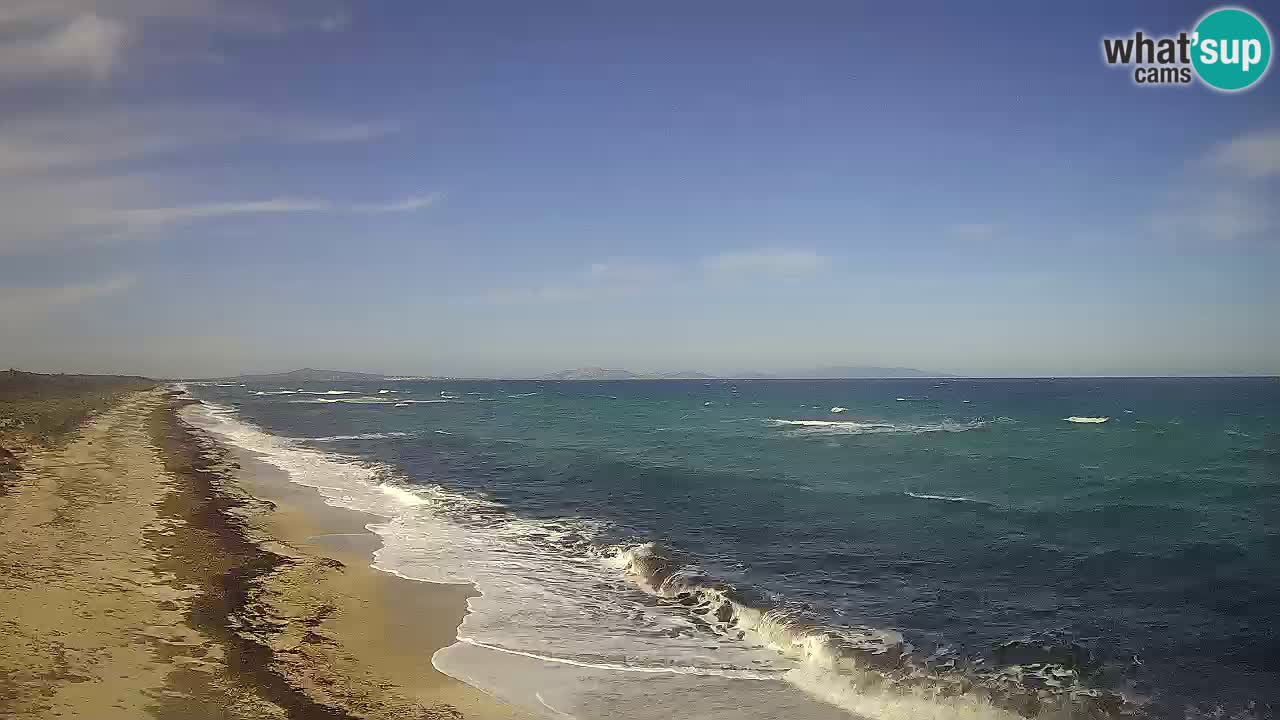 Beach Le Saline webcam live Stintino – Sardinia