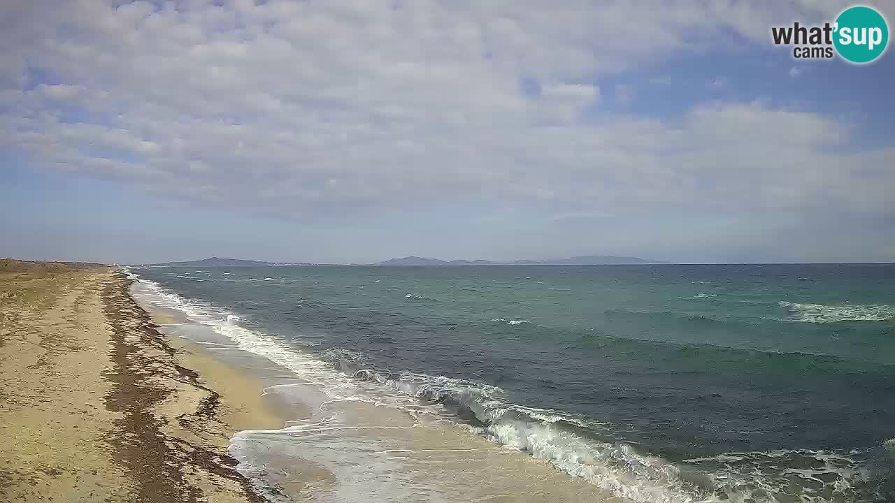 Plaža Le Saline web kamera Stintino – Sardinija