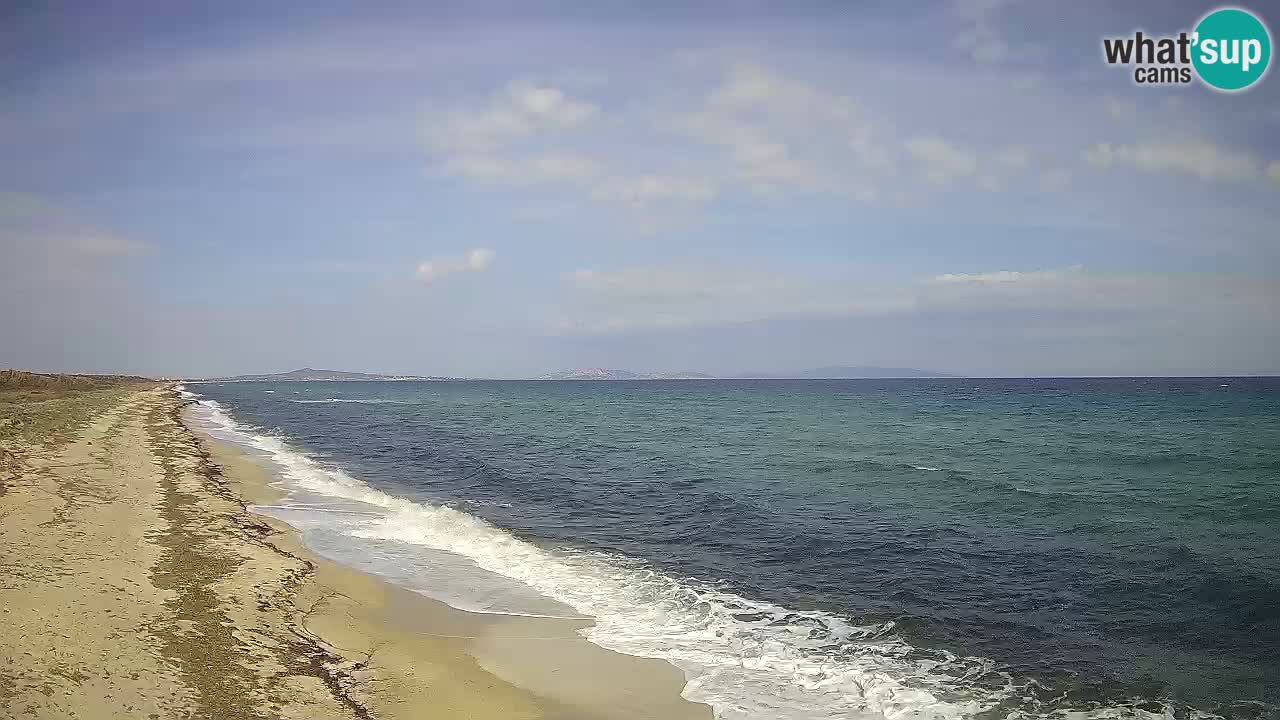 Strand Le Saline webcam Stintino – Sardinien