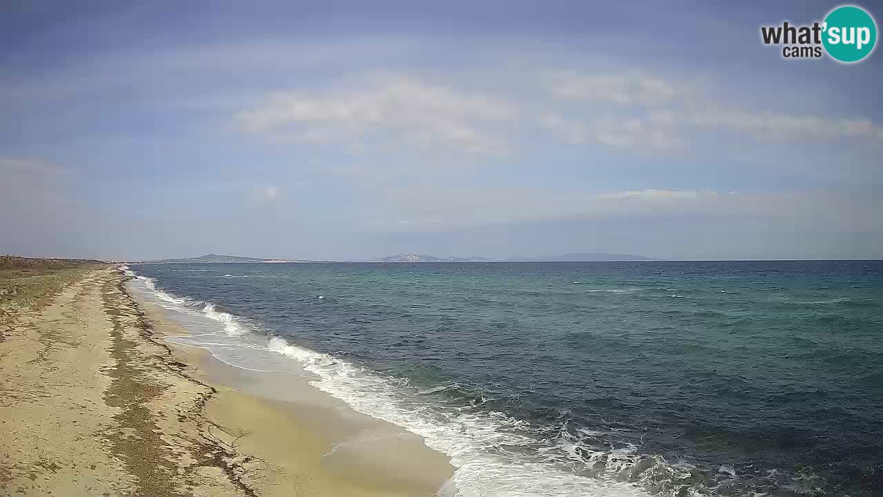 Strand Le Saline webcam Stintino – Sardinien