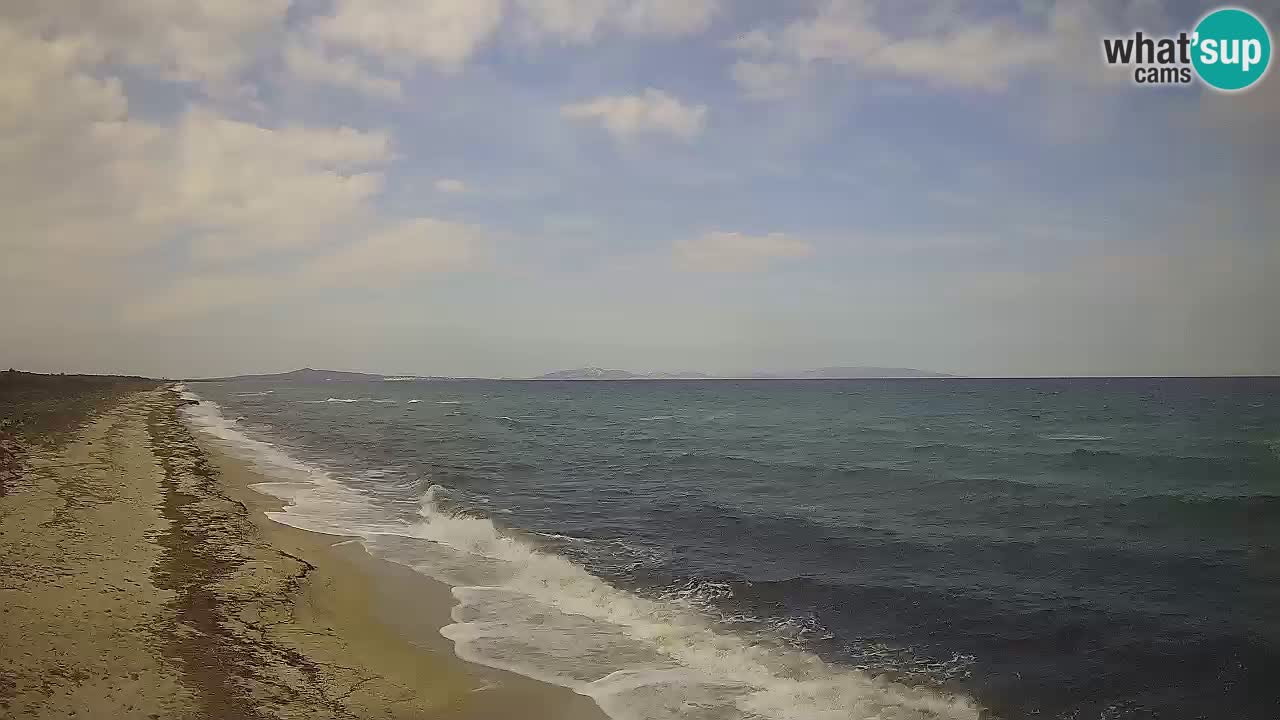 Spiaggia Le Saline webcam Stintino – Sardegna