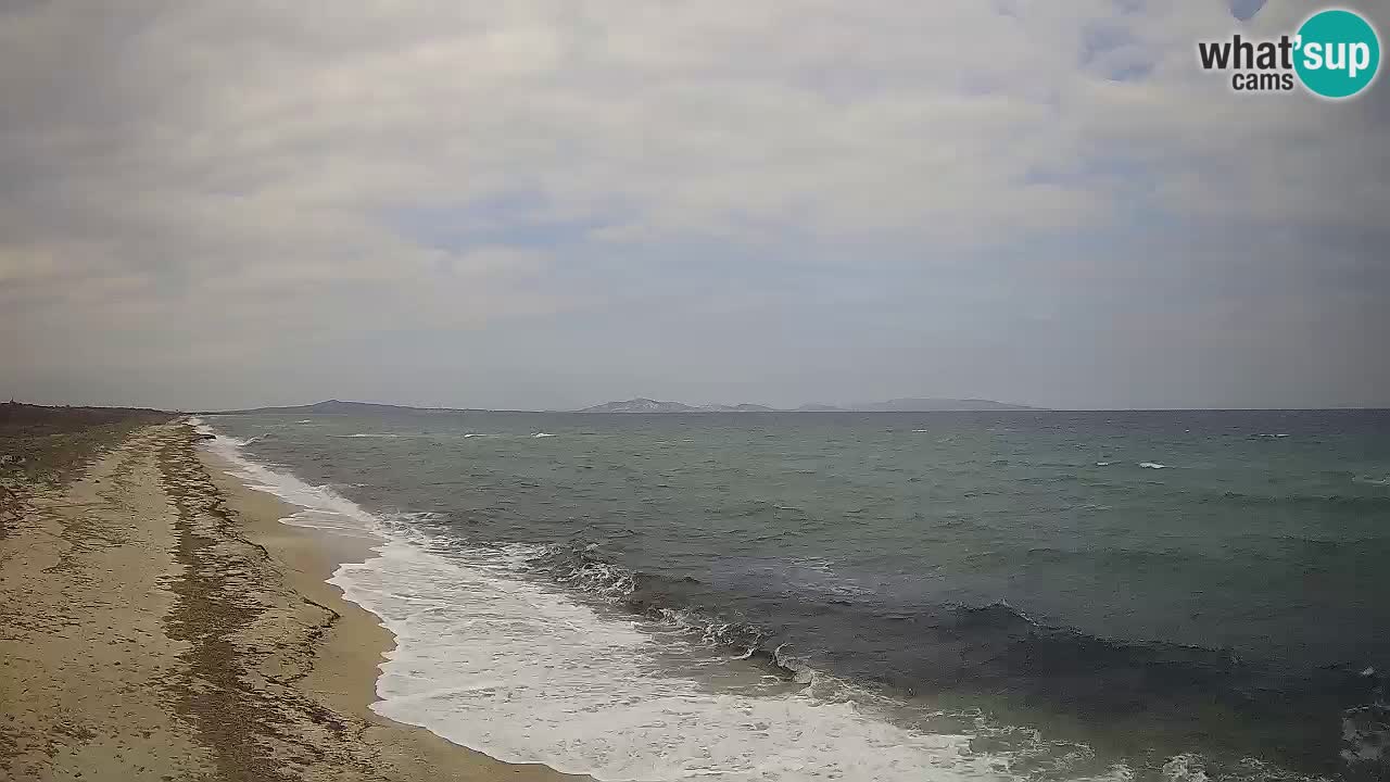 Beach Le Saline webcam live Stintino – Sardinia